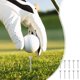 thumbnail image 1 of 10PCS Golfs Glass Type Non Limiting Nails Plastic Holders Low Resistance Accessories Non Limiting, 1 of 6
