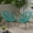 Teal and Black, variant on Noble House Anson Outdoor Hammock Weave Chair in Teal and Black (Set of 2)