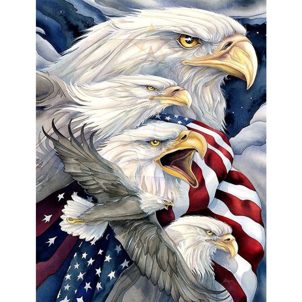 Cuadros Decorativos 5D Full Round Drill Diamond Painting USA Eagle Mosaic Kit Art Craft (A3632) Likrtyny embutido en tela