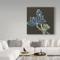 thumbnail image 3 of Trademark Fine Art 'Lotus on Black VII' Canvas Art by Chris Paschke, 3 of 3