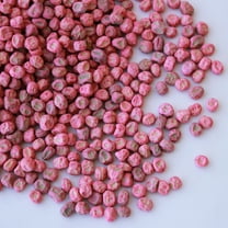 Wando Pea Garden Seeds - Treated - 1 Lbs - Non-GMO, Heirloom Vegetable Gardening Seed - Pisum sativum