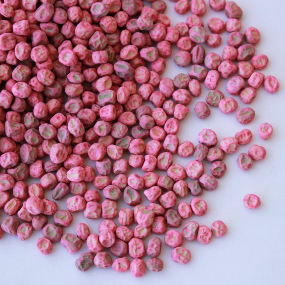 Wando Pea Garden Seeds - Treated - 1 Lbs - Non-GMO, Heirloom Vegetable Gardening Seed - Pisum sativum