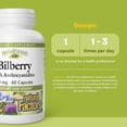 thumbnail image 3 of Natural Factors HerbalFactors Bilberry, Nutritional Support for Vision, 60 Capsules, 3 of 7