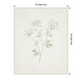 thumbnail image 3 of Amanti Art Plants from the Meadow IV Framed Canvas Wall Art Print, 3 of 10