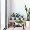 thumbnail image 1 of FESTFENDS 1Ud Estante Para Plantas De Hierro Negro Con Estable Y Práctico Para Interior, 1 of 8