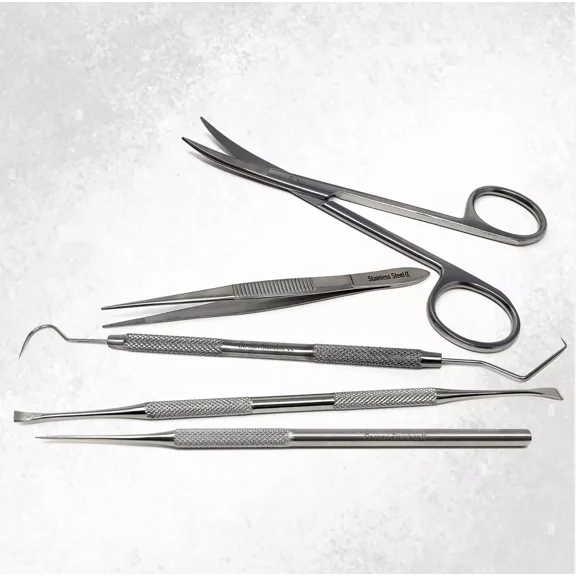 5Pcs Weeding Tools Stainless Steel Model Building Tools Craft Set, Building, Repairing, Sorting Vinyl Weeding Projects