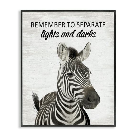 Stupell Industries Remember To Separate Laundry Quotes and Sayings Painting Black Framed Art Print Wall Art, 11 x 14