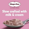 thumbnail image 5 of Haagen Dazs Yogurt Style Snack, Cultured Cream, Chocolate Raspberry, 4 oz Cup, 5 of 11