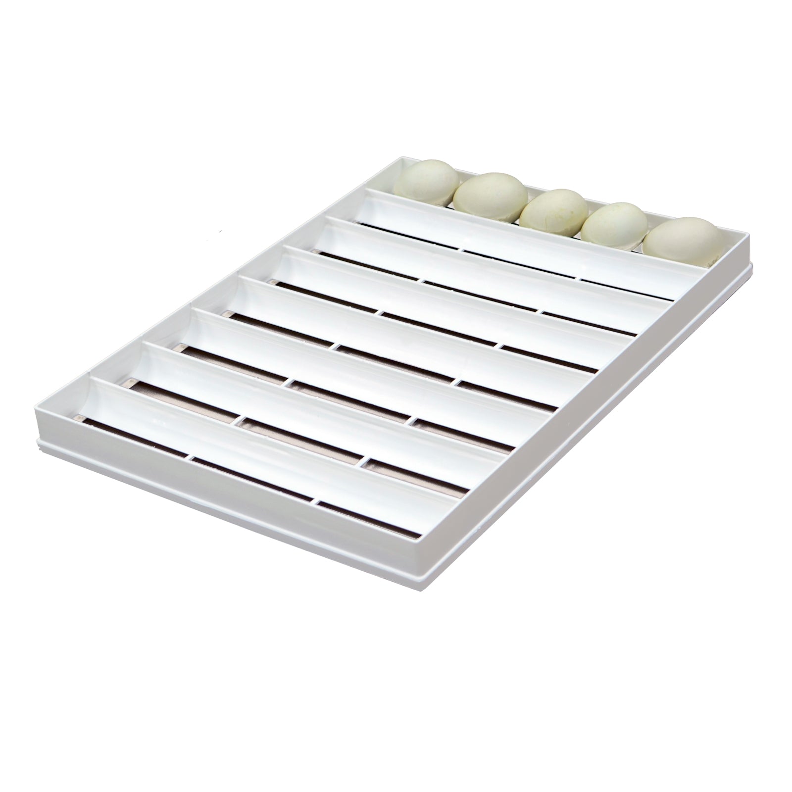 Hatching Time Egg Setter Tray (40 Goose Eggs), Good Fit, Durable, Washable, Easy To Clean, Cimuka, Fits Incubators, ABS Plastic