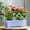Blue, variant on 16.3 Inch Rectangular Window Flower Box Planter with Tray for Balcony, Windowsill, Garden(Blue)