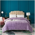 thumbnail image 3 of Kasentex Hydrophilic Fiber Reversible Plush Sherpa Twin Comforter, Blue, 3 of 6