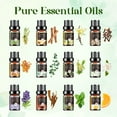 thumbnail image 2 of Aeshory Essential Oils Set for Diffuser, Humidifier, Aromatherapy, Massage, Soap, Candle Making (12 Pack/5mL), 2 of 7