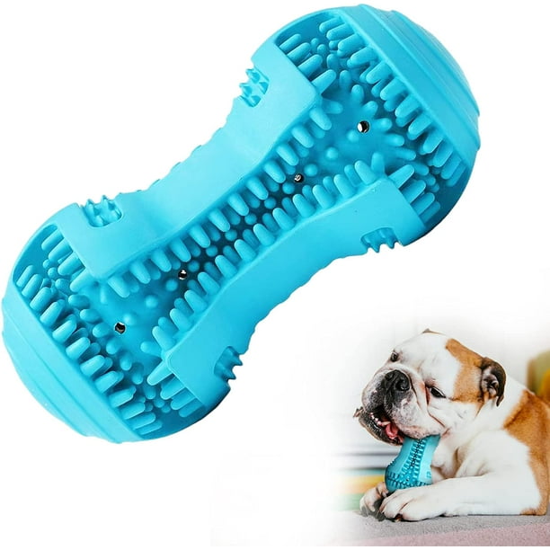 Chew toys for dogs with anxiety 2025