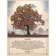 thumbnail image 3 of Mohr, Bonnie 12x14 Black Modern Framed Museum Art Print Titled - Fall Living Life, 3 of 5