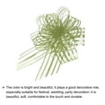 thumbnail image 4 of 15pcs 6 Inch Organza Large Pull Bow Gift Wrapping Bows Ribbon Chiffon Yarn Grass Green for Christmas, 4 of 6