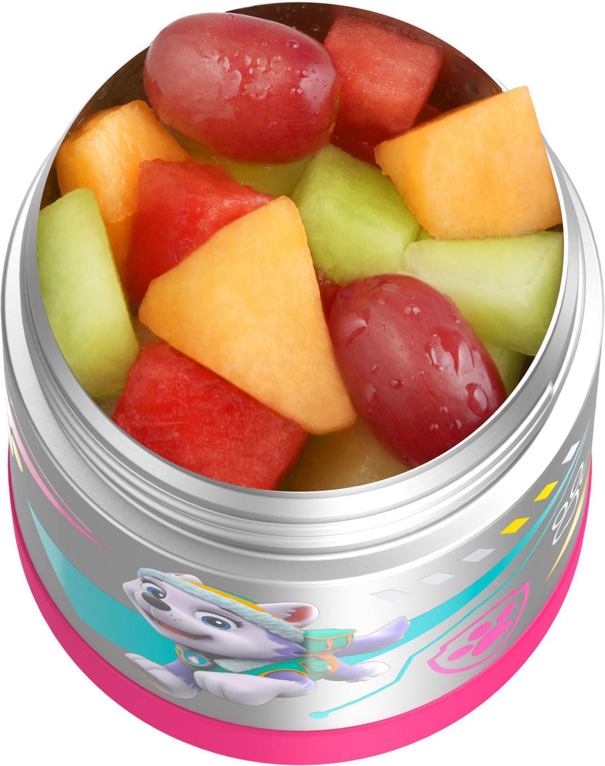 Thermos Funtainer Vacuum Insulated 10 Oz Food Jar, Paw Patrol Girl