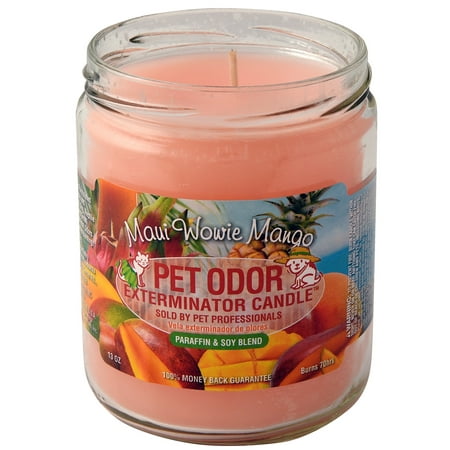 Pet Odor Exterminator Candle, Maui Wowie Mango