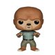 thumbnail image 5 of 2025 FUNKO POP Monsters Dracula 111 113 Wolfman 114 Mummy 115 Mutant 118 Colección de figuras de acción Edición limitada Modelo Juguetes para regalo, 5 of 5