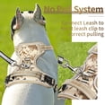 thumbnail image 4 of Arnés para perros HEELE sin tirones, ajustable, acolchado y reflectante, 4 of 8