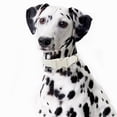 thumbnail image 4 of Cotton Hemp Dog Collar Adjustable, White Dog Collar Soft Natural Fabric with Quick Release, Cute Wedding Puppy Necklace for Small Medium Large Dog, White-M, 4 of 10