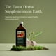 thumbnail image 3 of Suplemento Gaia Herbs Plant Force Liquid Iron, 473 ml, 3 of 6