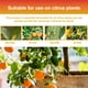 thumbnail image 5 of Fertilizante para plantas MOONSPRY Citrustree, 100ml, naranja, árbol frutal, raíz, belleza, solución nutritiva para el crecimiento de la fruta, 5 of 6