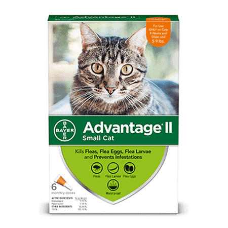 Advantage II Flea Treatment for Small Cats, 6 Monthly