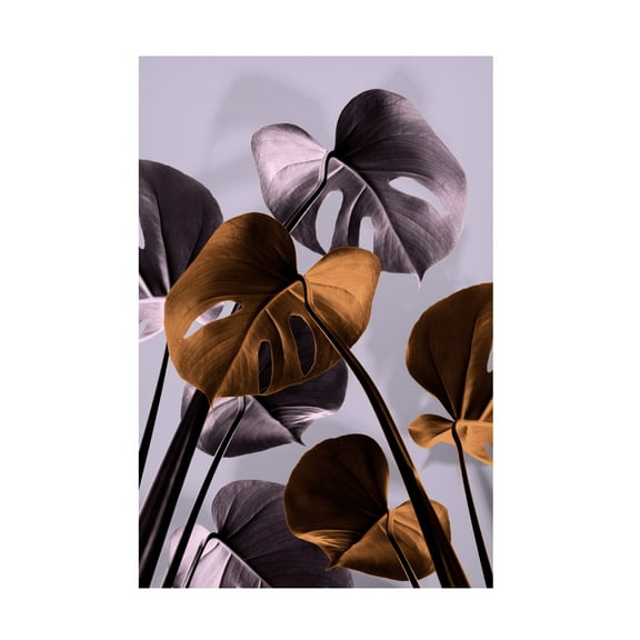 Trademark Fine Art Pictufy Studio Monstera Purple 01 Canvas Wall Art