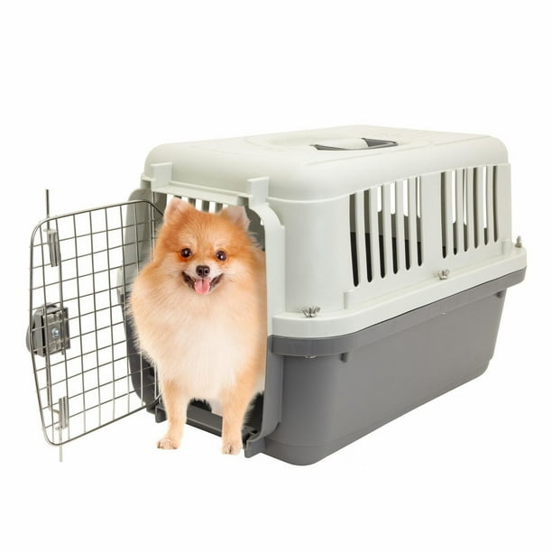 How Much are Dog Kennels for a Week: Affordable Rates Revealed