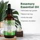 thumbnail image 5 of Aceite Esencial de Romero para Cuidado de la Piel y Crecimiento del Cabello 30 ml, 5 of 7