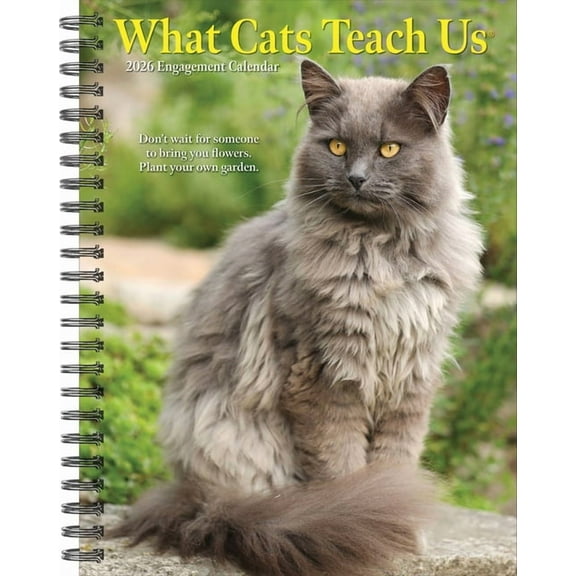 What Cats Teach Us 2026 Engagement Calendar, (Paperback)