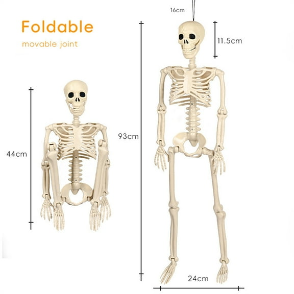 Virelaxpo Life-Size Movable Halloween Skeleton Decoration with Hanging String, Realistic Prop for Party and Home Scene Setup