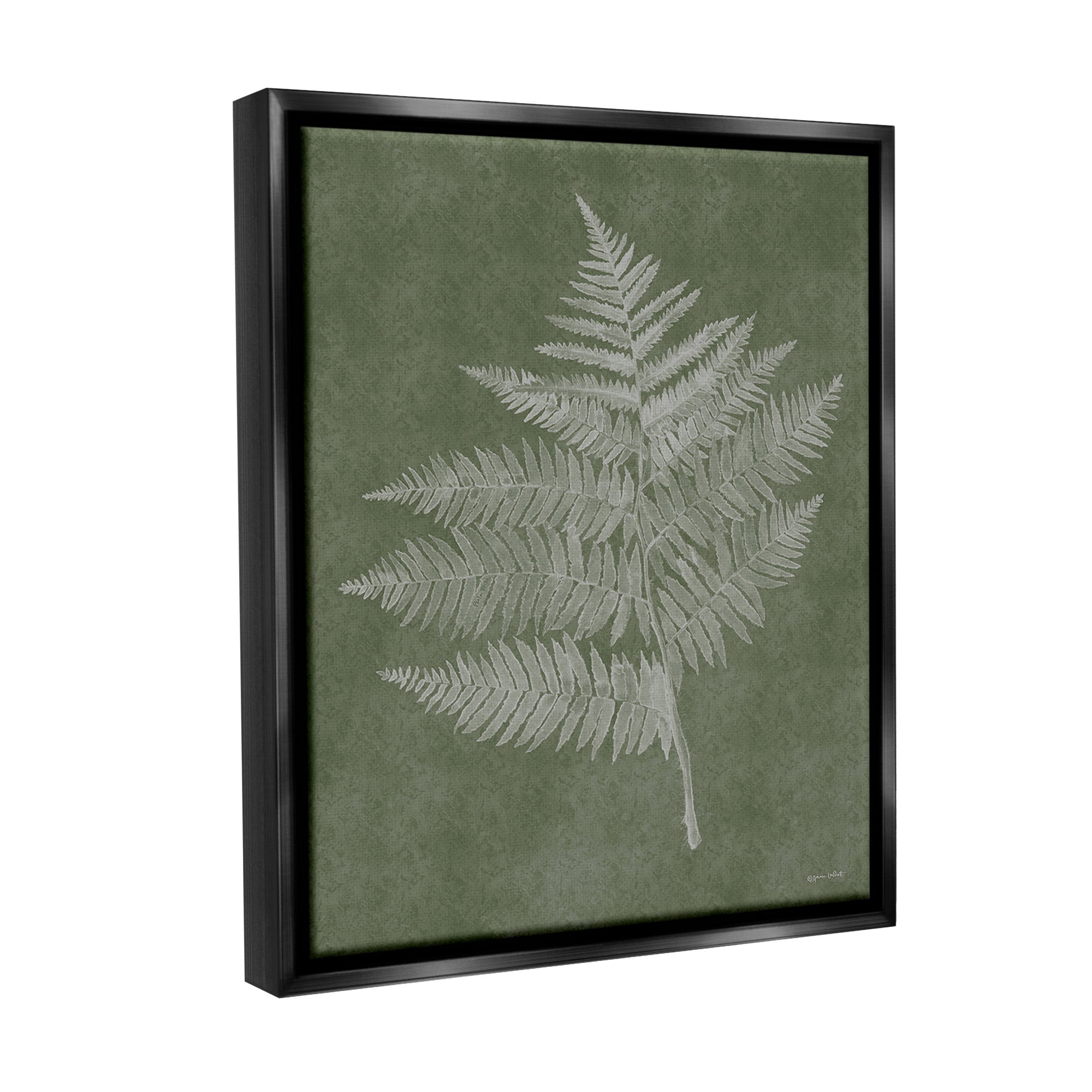 Stupell Industries Asymmetrical Fern Plant Botanical & Floral Painting Black Floater Framed Canvas Art Print Wall Art, 17 x 21