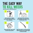 thumbnail image 5 of Roundup For Lawns₁ Ready-to-Use with Extend Wand, Tough Weed Killer for Use on Northern Grasses, 1 gal., 5 of 10