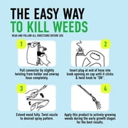 Roundup For Lawns₁ Ready-To-Use with Extend Wand, Tough Weed Killer for Use on Northern Grasses, 1 gal.
