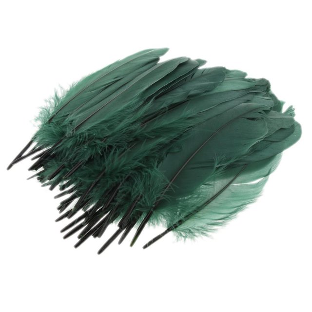 Plumas de bricolaje Colcomx para manualidades 50 piezas verde