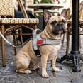 thumbnail image 4 of Dog Harness,No Pull Dog Harness, Adjustable Soft Harness with Breathable Mesh Padded, Reflective Lightweight Harness for Extra Small Medium Dogs, 4 of 6