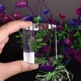 thumbnail image 4 of Unique Bargains 1.2 Inches x 2 Inches Clear Acrylic Solid Cylinder Round Display Riser, 4 of 4