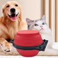 thumbnail image 2 of Cuencos portátiles de viaje para perros de doble cena, cuencos plegables combinados para comida y agua para perros (rojo, amarillo, verde y rosa), 2 of 5