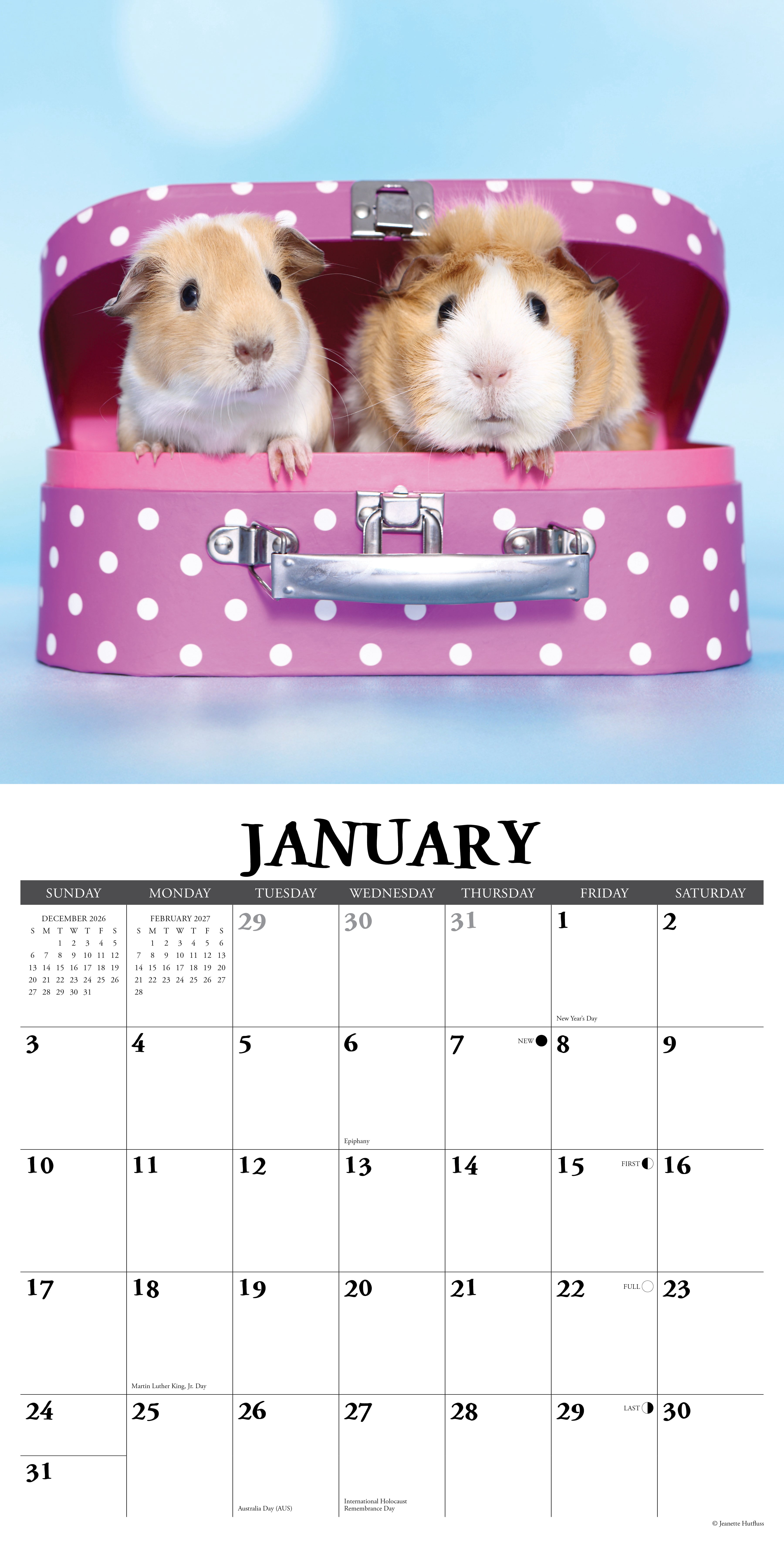 Willow Creek Press, Guinea Pigs 2027 Wall Calendar