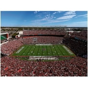 Fathead South Carolina Gamecocks Giant Removable Wall Mural