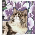 thumbnail image 1 of ARTCANVAS Ragamuffin Cat Breed Violet Canvas Art Print - Size: 36" x 36" (1.50" Deep), 1 of 9