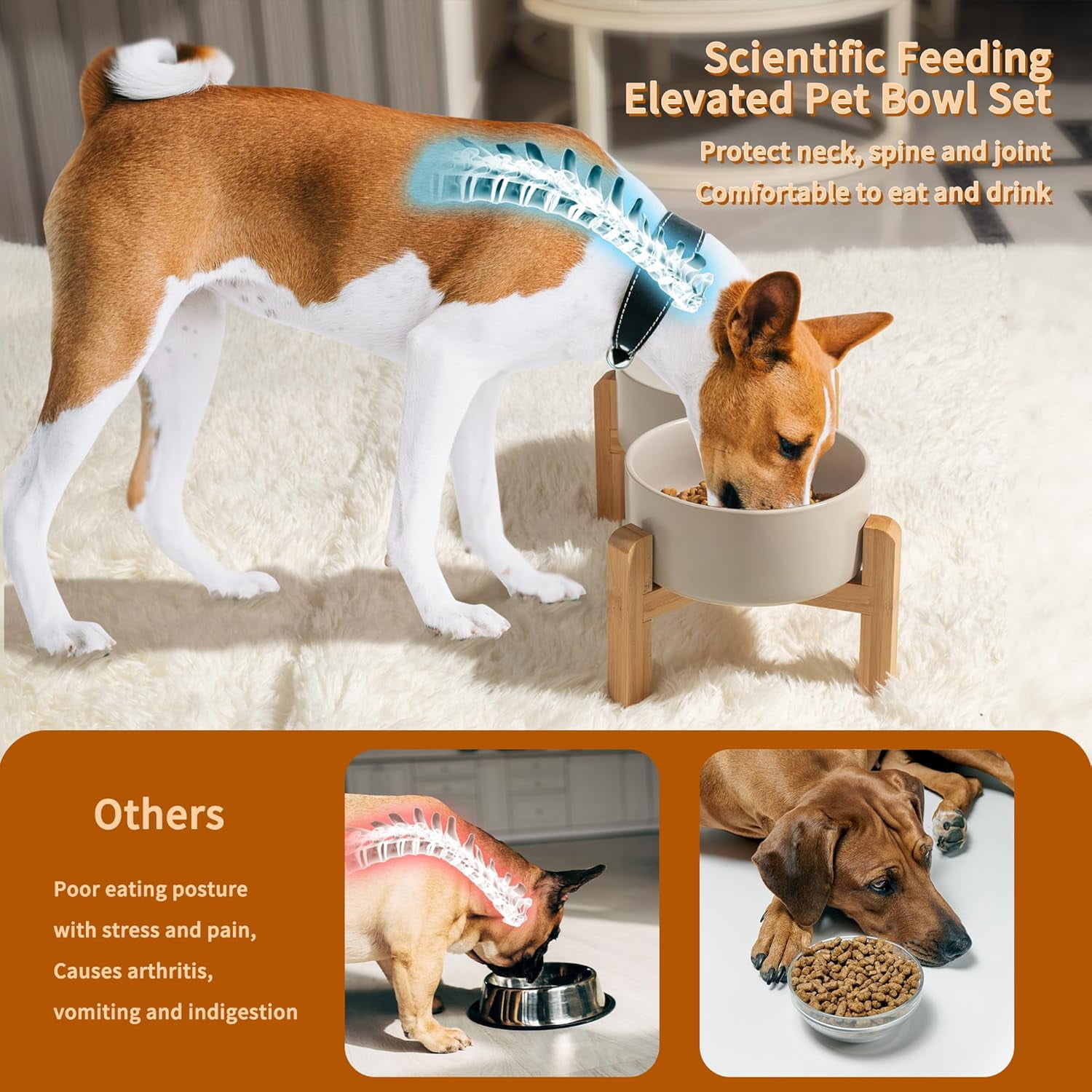 Elevated Ceramic Dog Bowl Set - Raised Dog Bowls with Non-Slip BambooStand - Dog Food and Water Bowl Set - Double Dog Feeding Bowls - Suitable for Small and Medium Dogs - 28.74 OZ - 3.6 CUPS - 850 ML