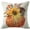 B, variant on 1Pc/4Pcs Fall Decor Pillow Covers 18x18Inch Pumpkin Maple Leaves Sunflower Vase Fall Outdoor Throw Pillows Covers Autumn Farmhouse Thanksgiving Decorative Cushion Case for Couch Sofa