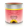 Jane Carter Solution (Pack of 2)