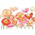 thumbnail image 3 of Popp, Grace 14x11 Black Modern Framed Museum Art Print Titled - Bright Poppies III, 3 of 5
