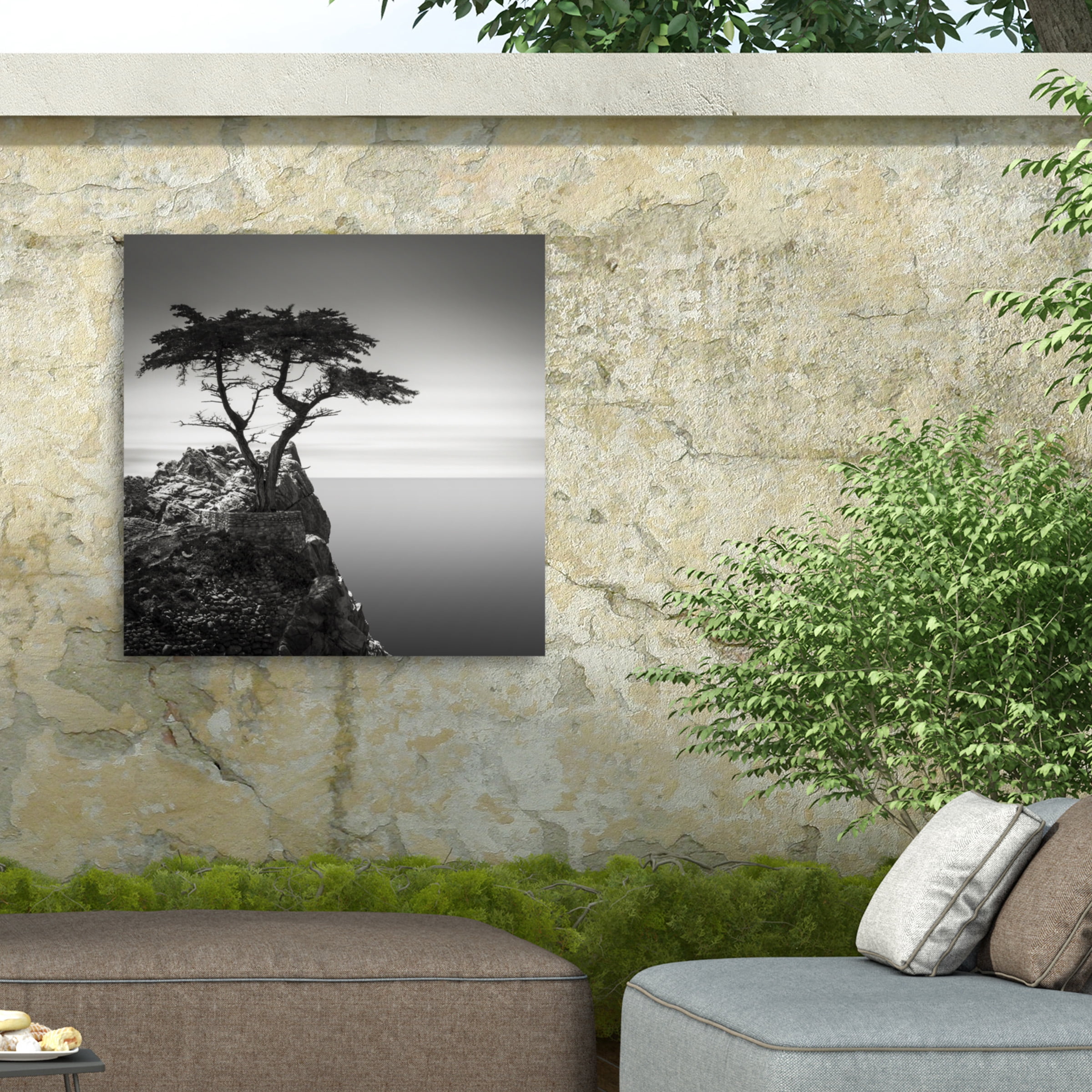 Trademark Fine Art Dave MacVicar The Lone Cypress Outdoor Canvas Art