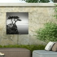 thumbnail image 4 of Trademark Fine Art Dave MacVicar The Lone Cypress Outdoor Canvas Art, 4 of 7
