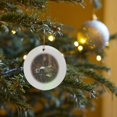 thumbnail image 7 of 3drose, American Wigeon Taking Flight, Circle Porcelain Ornament, 7 of 7