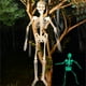 thumbnail image 5 of Esqueleto Luminoso Esqueleto Corporal Horror Halloween Casa Accesorios Divertidos Halloween Casa Patio Escena Doméstica Accesorios Divertidos De Terror, 5 of 5